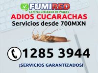 Fumigacion de cucarachas